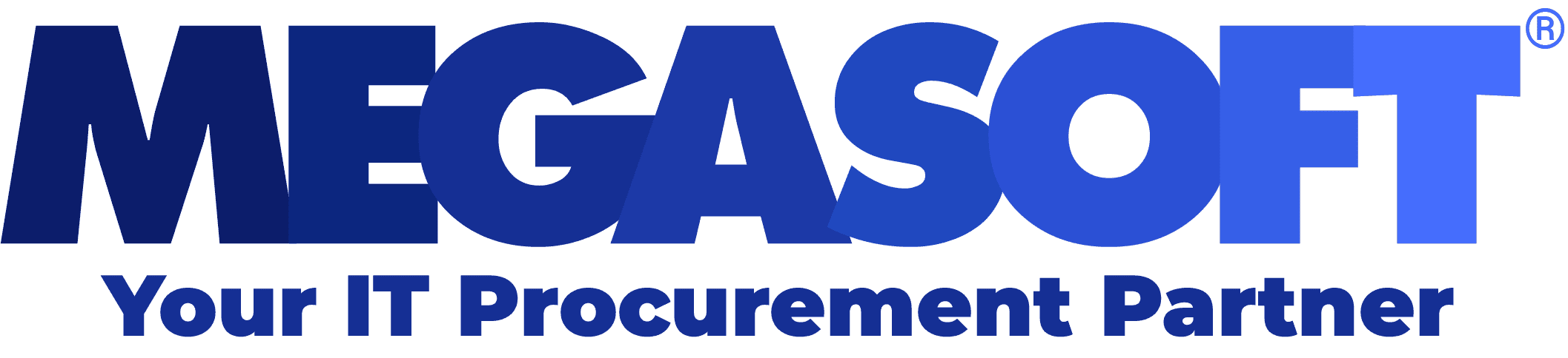 Megasoft Logo